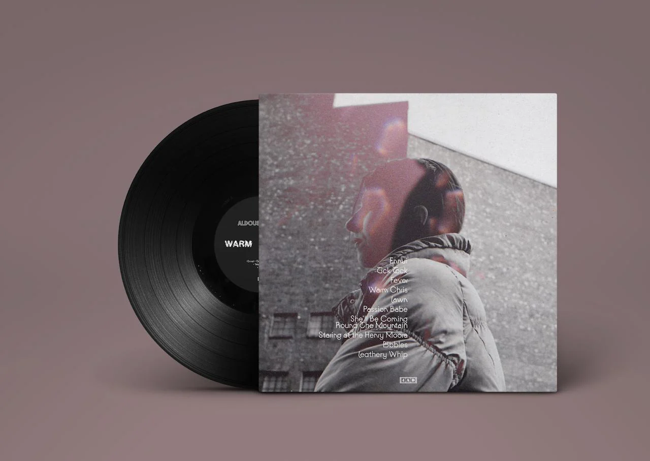 Aldous Harding - Warm Chris - Image 3