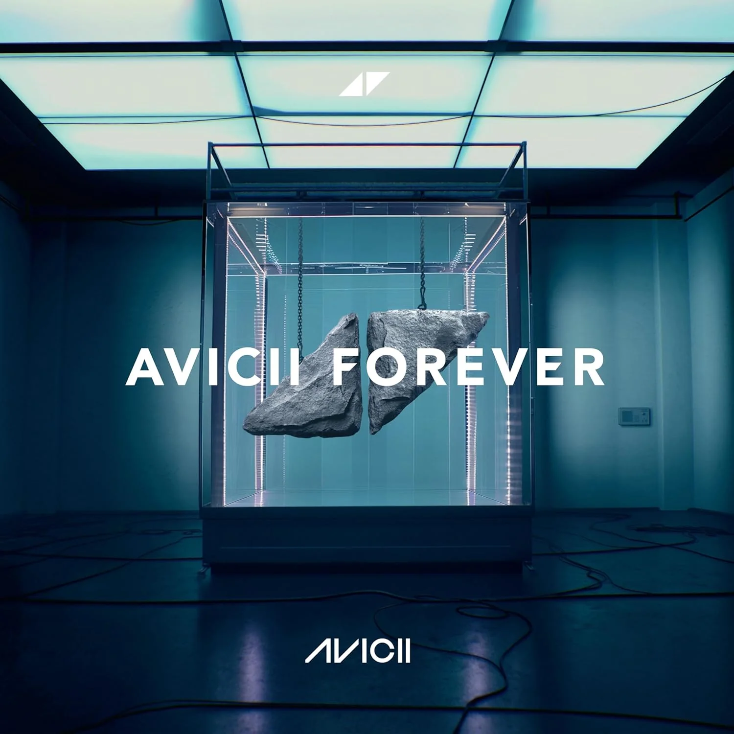 Avicii - Forever