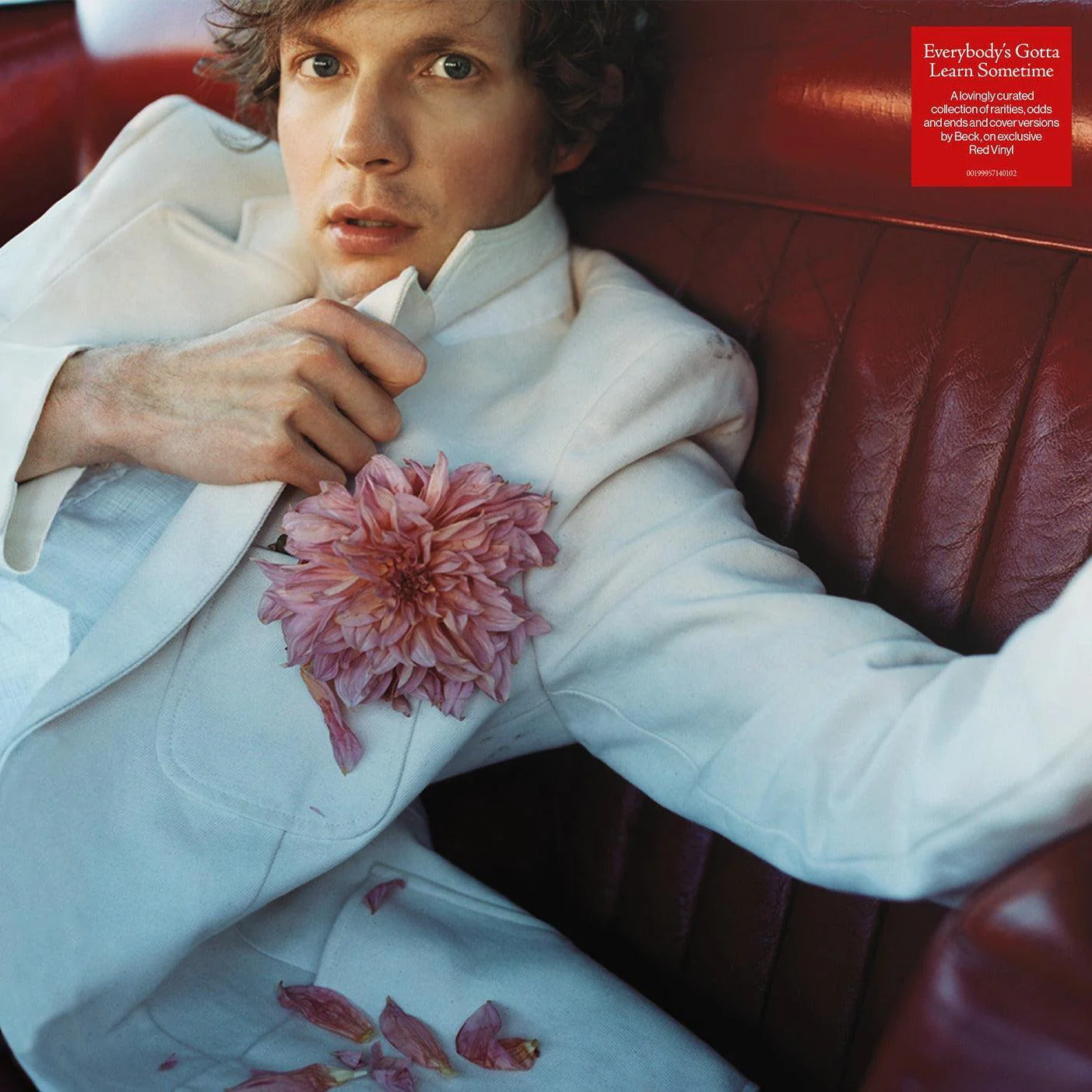 Beck - Everybody’s Gotta Learn Sometime