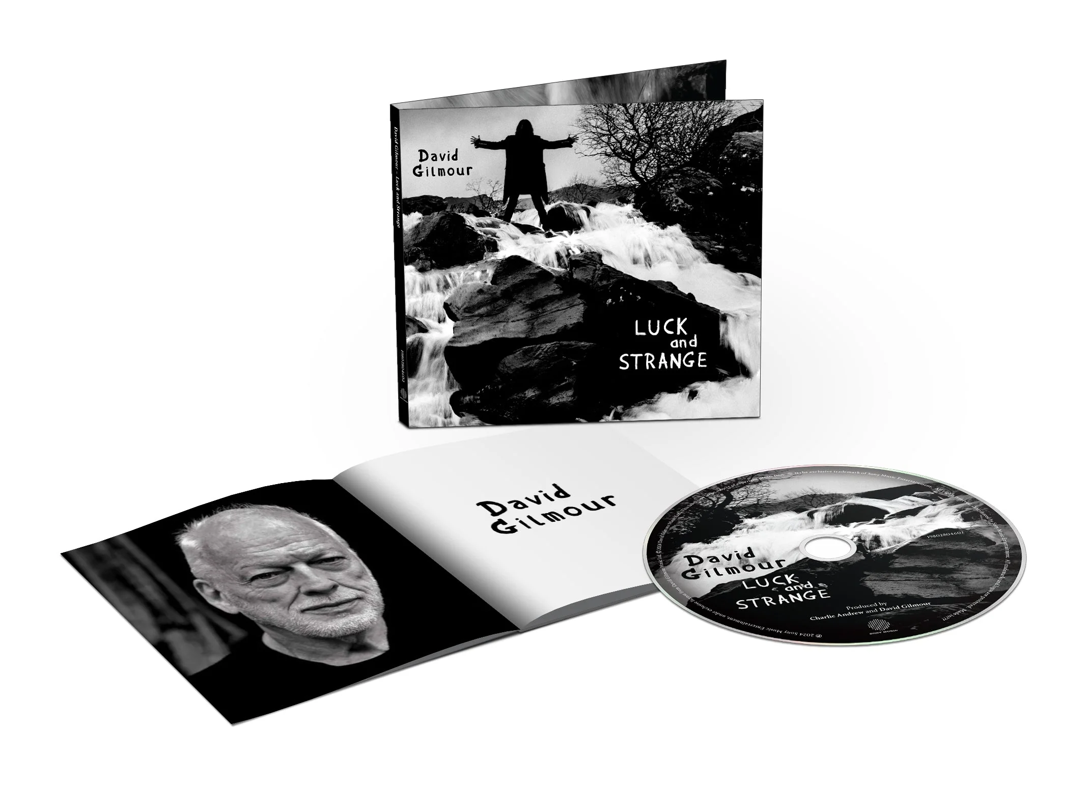David Gilmour - Luck and Strange - Image 5