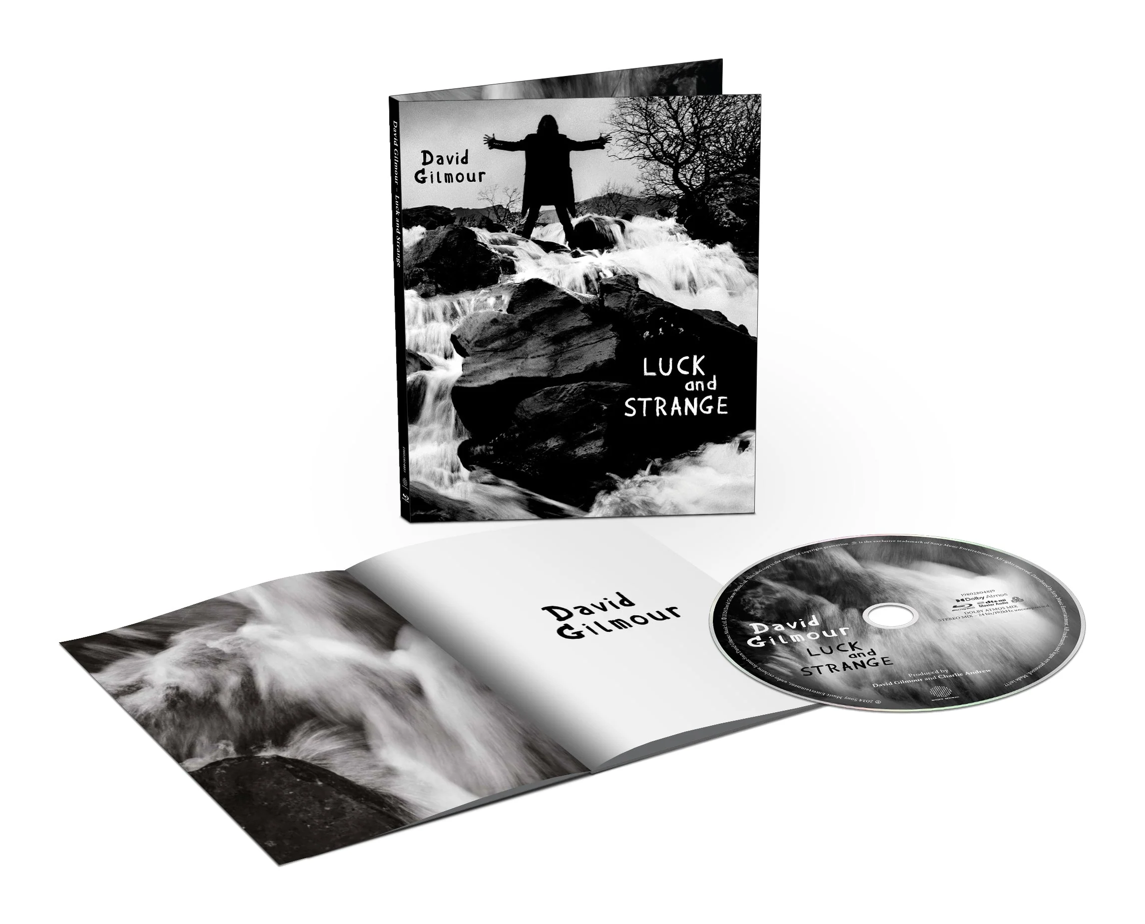 David Gilmour - Luck and Strange - Image 6