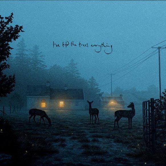 Dermot Kennedy - I’ve told the trees everything