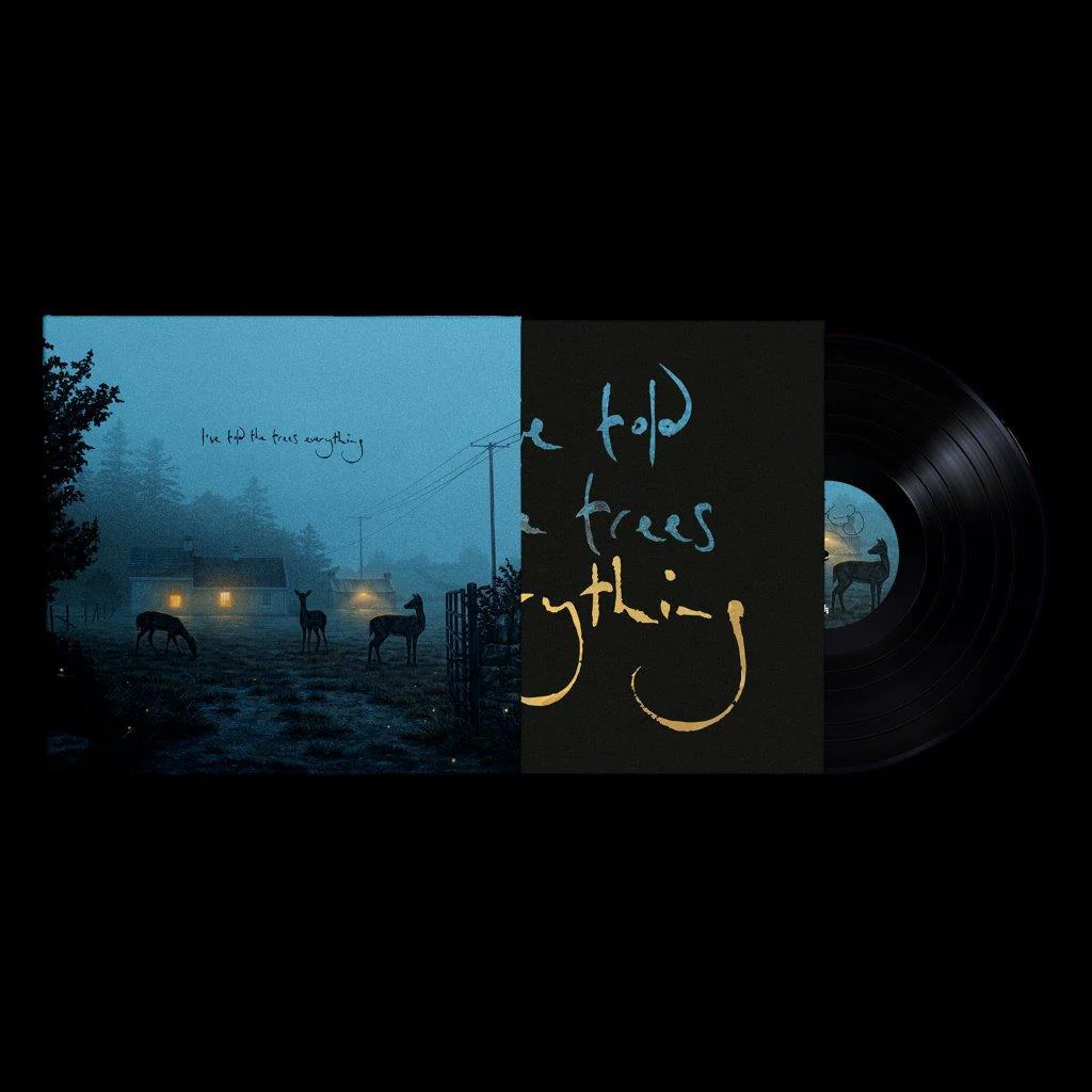 Dermot Kennedy - I’ve told the trees everything - Image 2