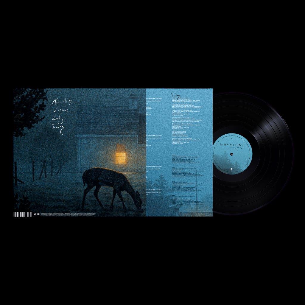 Dermot Kennedy - I’ve told the trees everything - Image 3