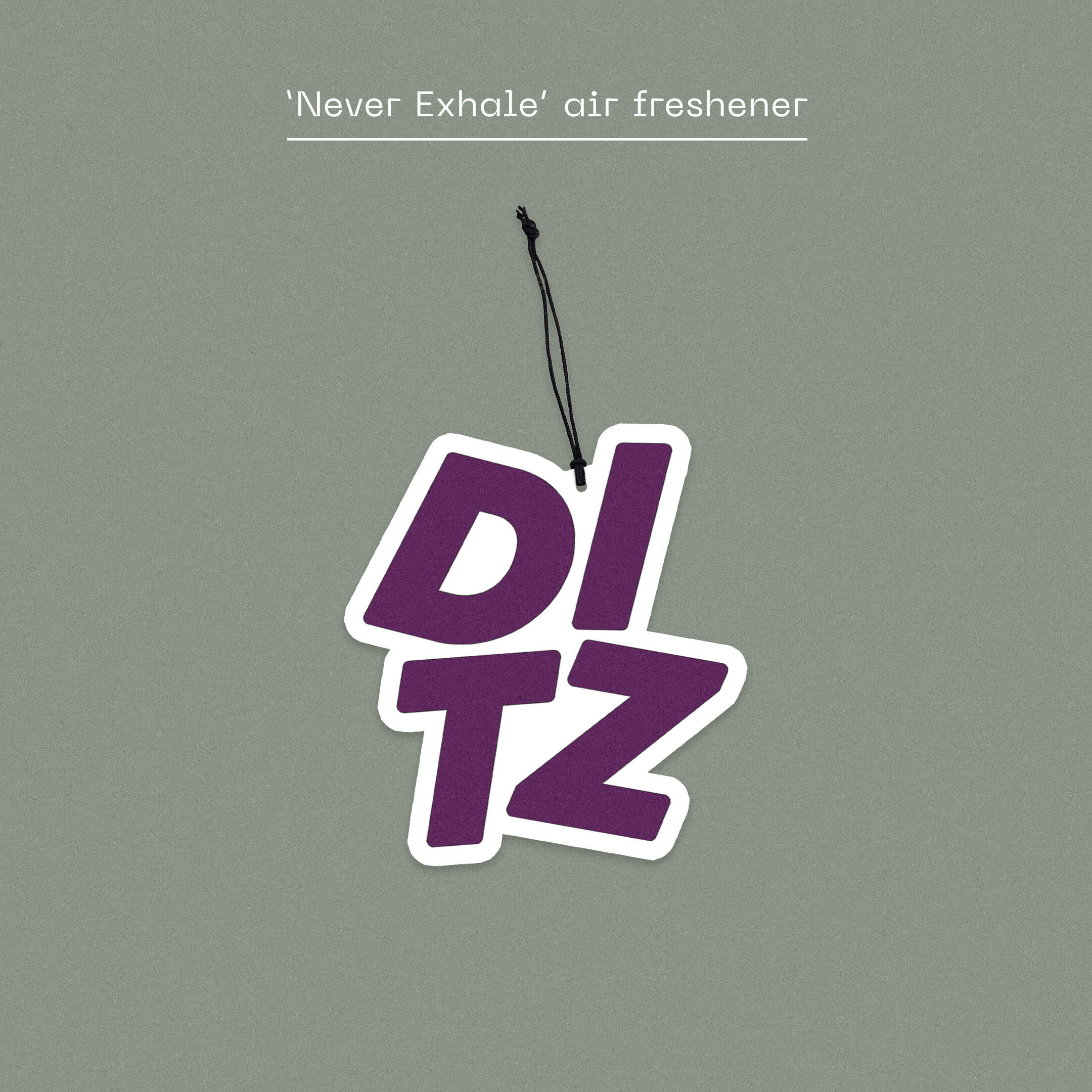 DITZ - Never Exhale - Image 5