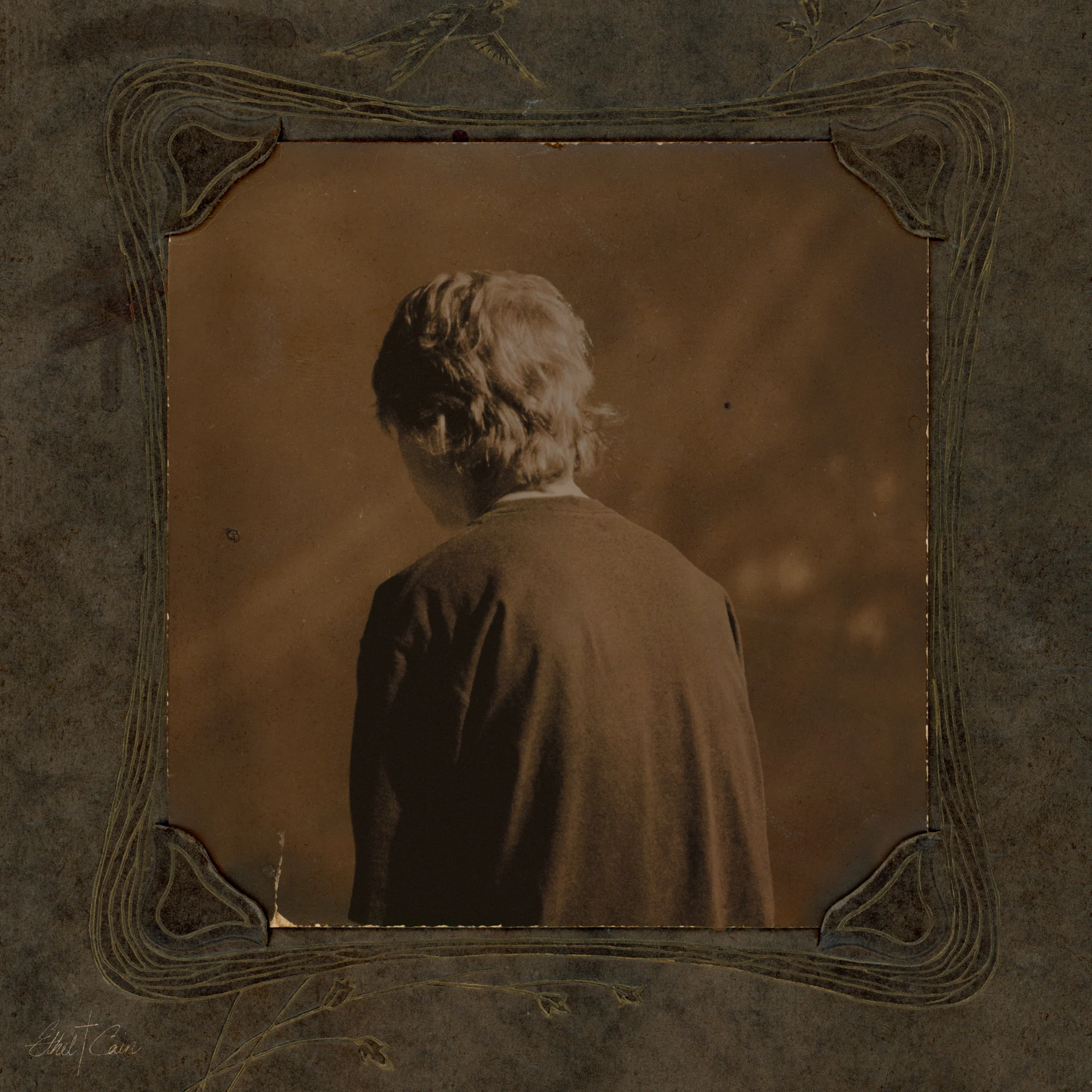 Ethel Cain - Willoughby Tucker, I’ll Always Love You