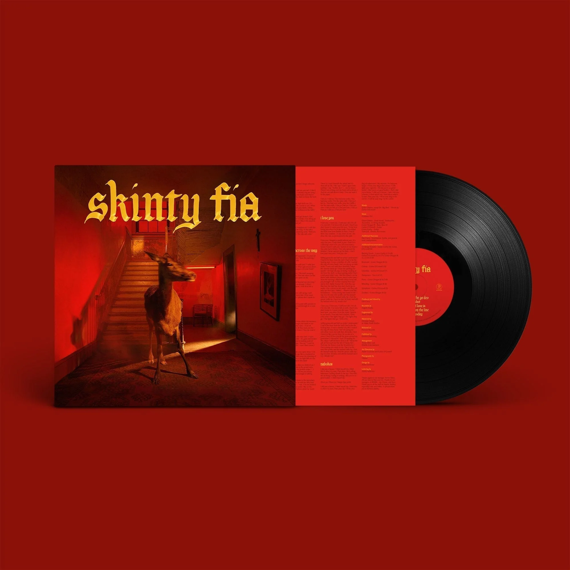 Fontaines D.C. - Skinty Fia - Image 3