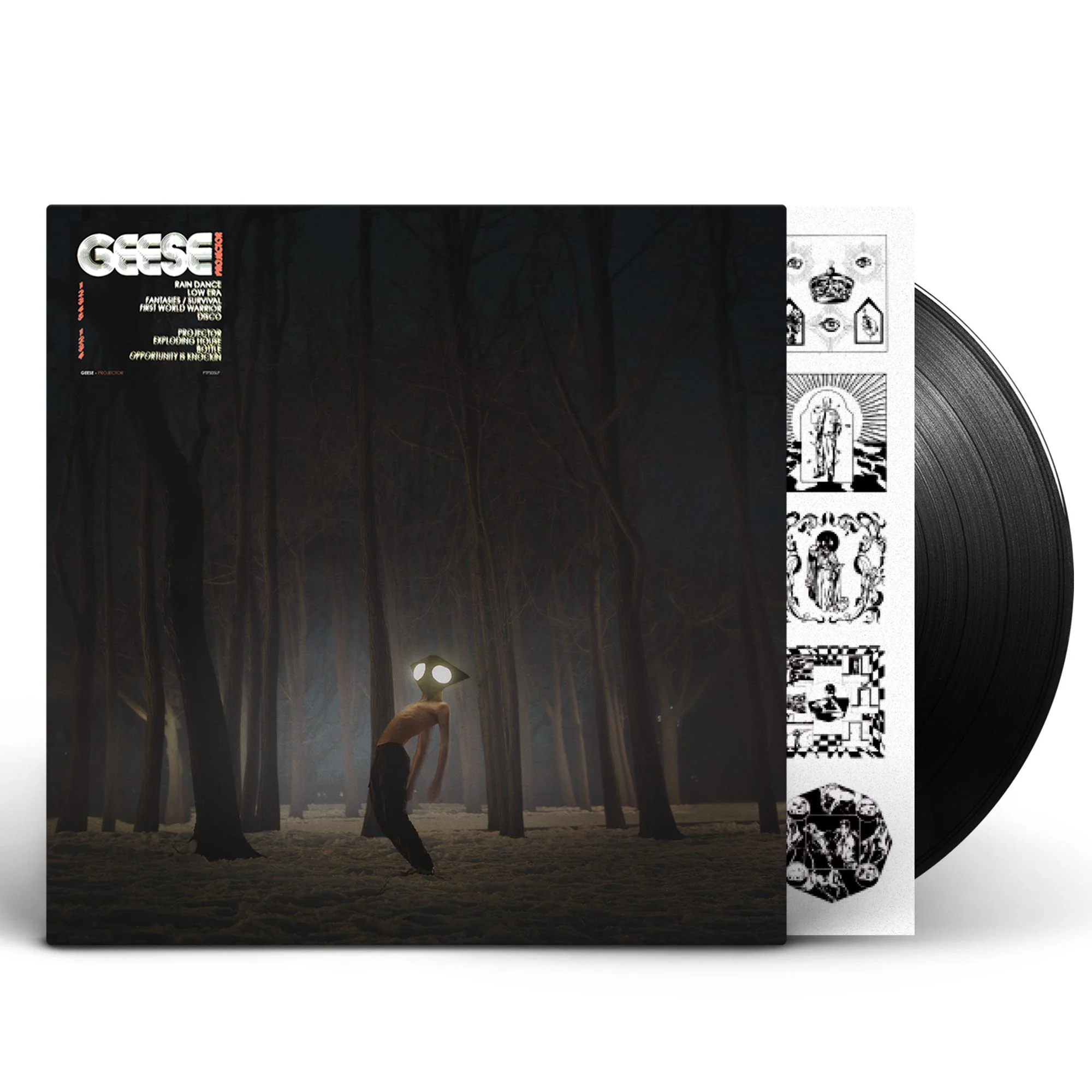 Geese - Projector - Image 2