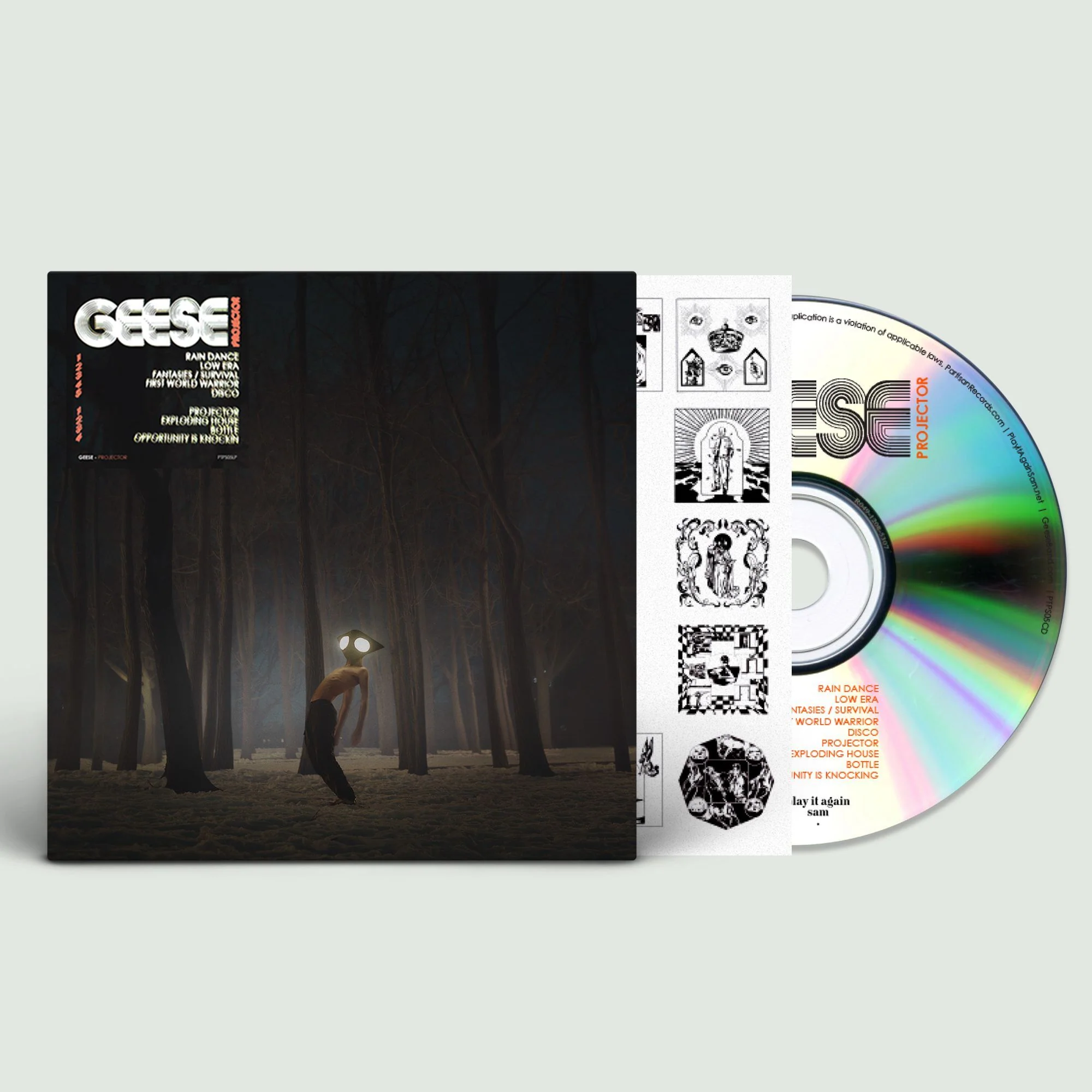 Geese - Projector - Image 3