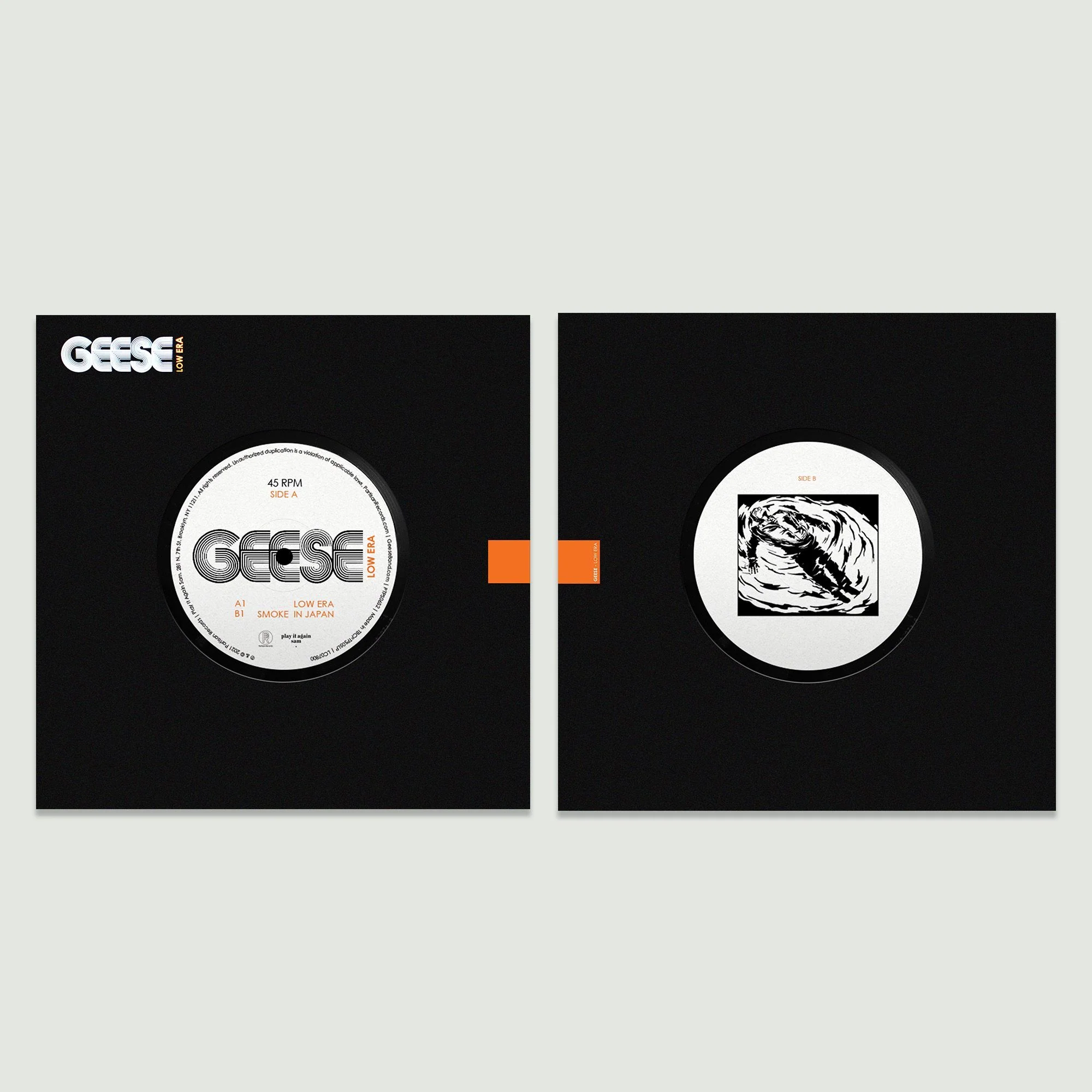 Geese - Projector - Image 5