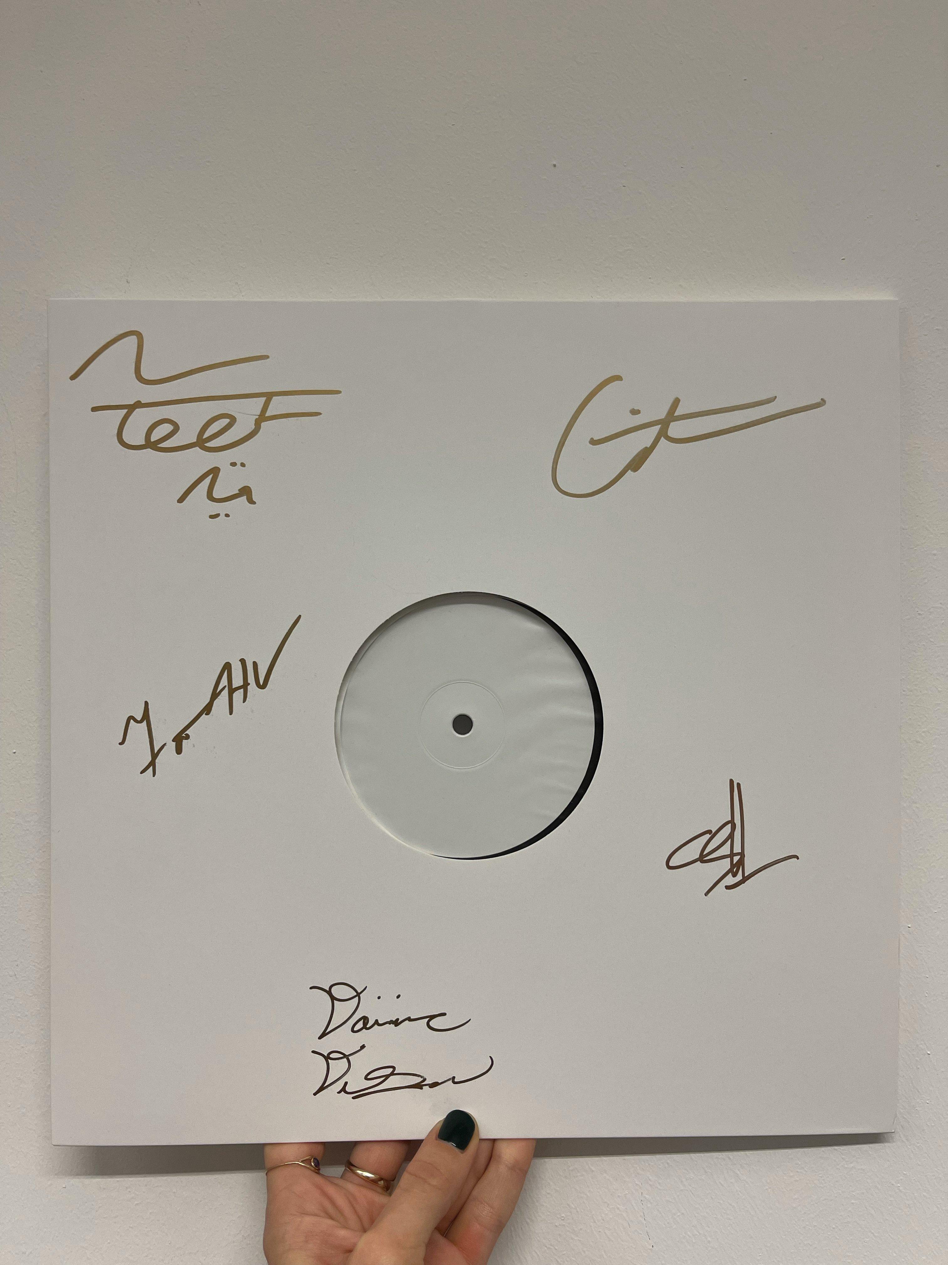 Geese - Projector - Image 6