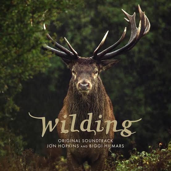 Jon Hopkins and Biggi Hilmars - Wilding (Original Soundtrack) CD