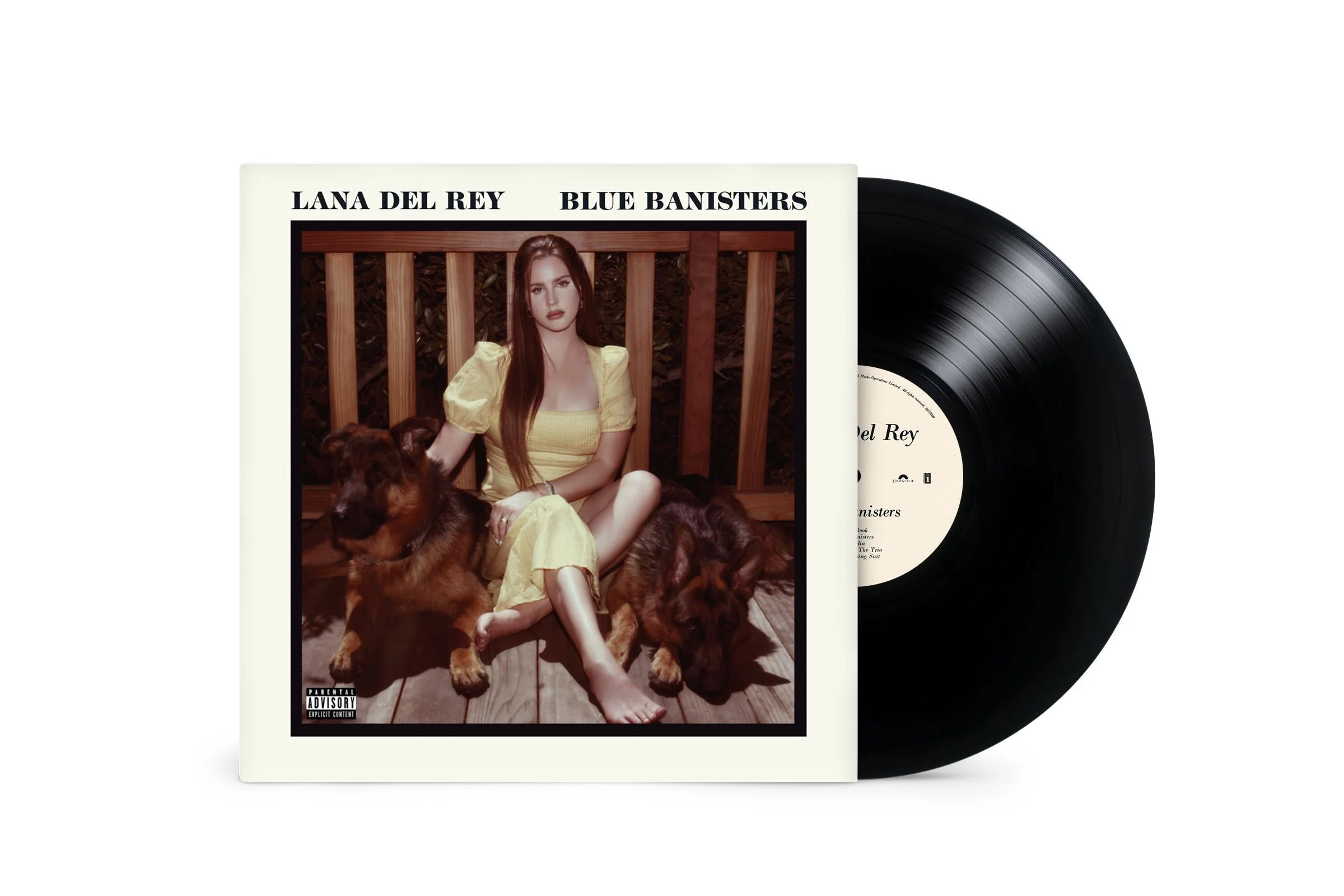 Lana Del Rey - Blue Banisters - Image 2