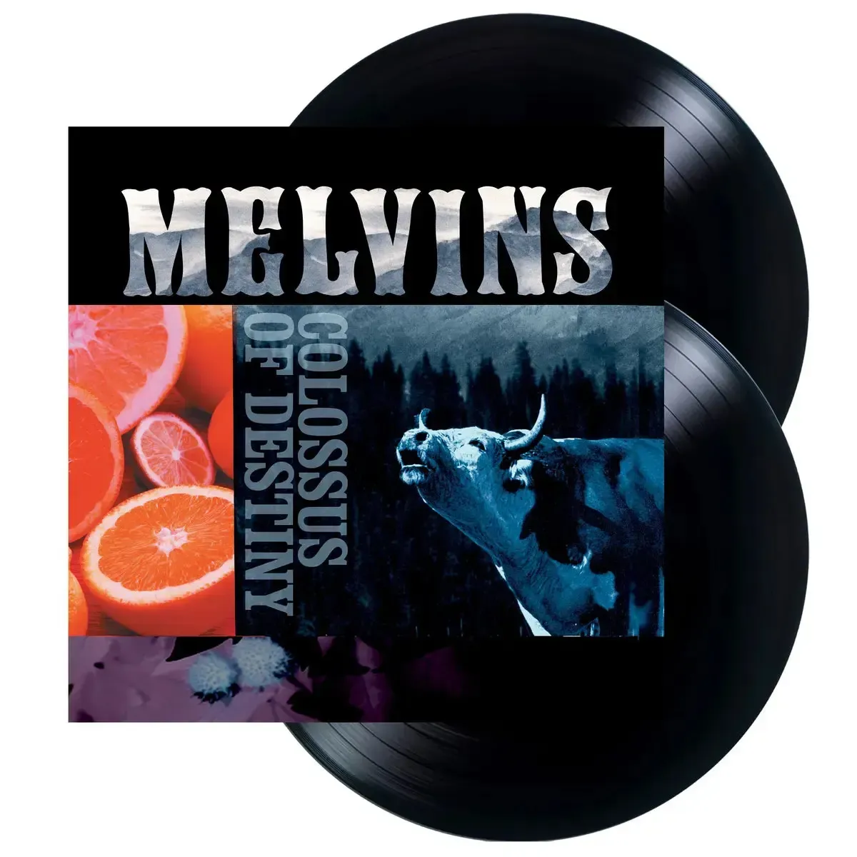 Melvins - Colossus of Destiny - Image 2