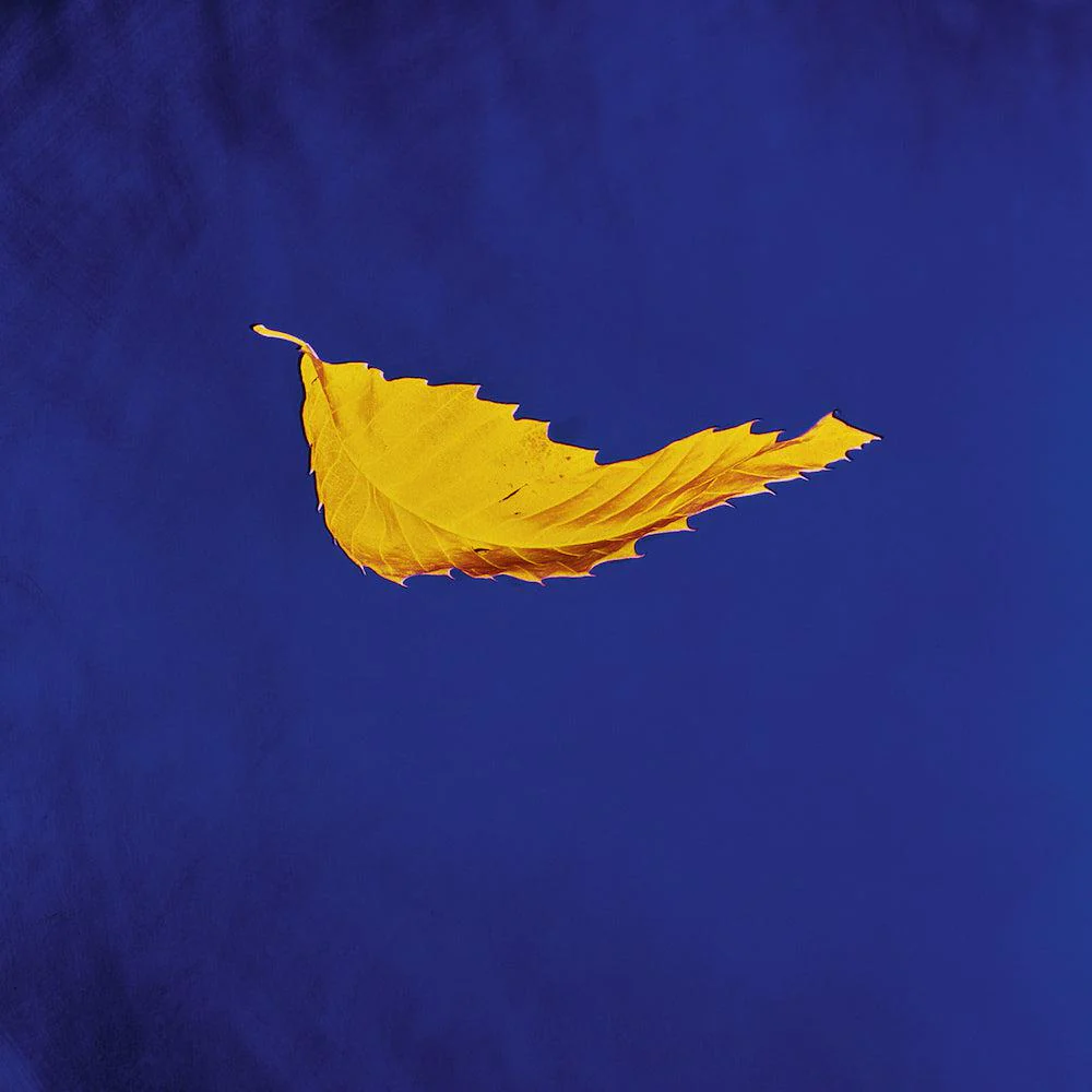 New Order - Substance '87 - Image 6