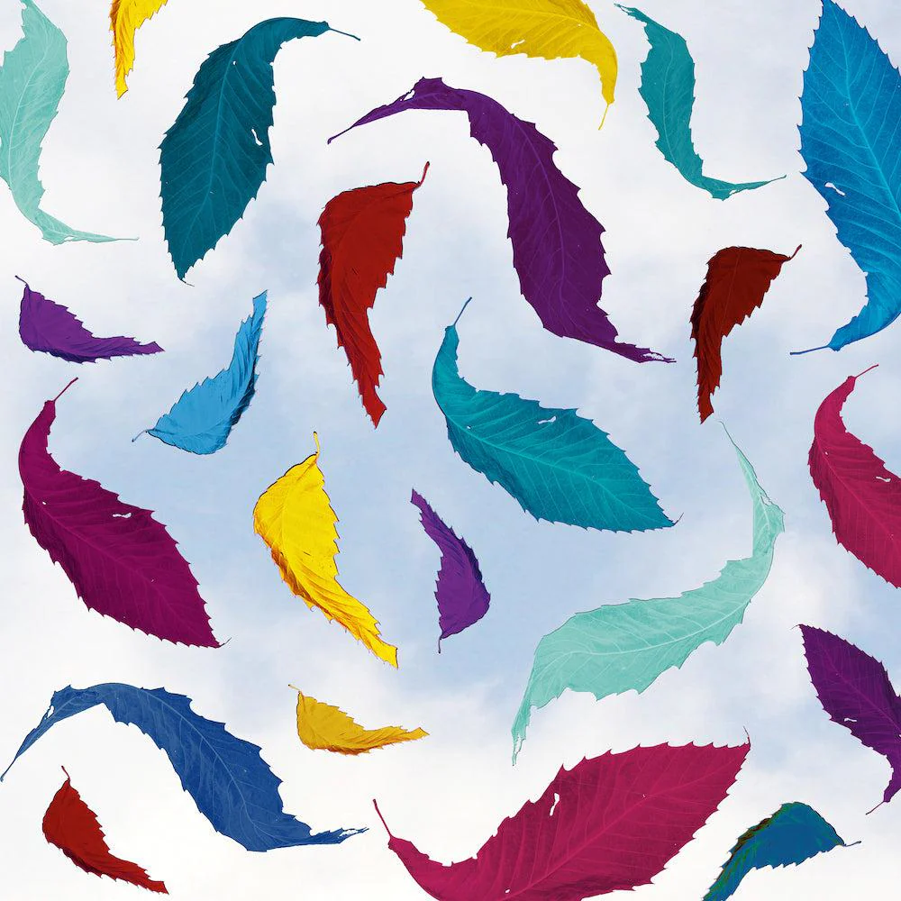 New Order - Substance '87 - Image 7
