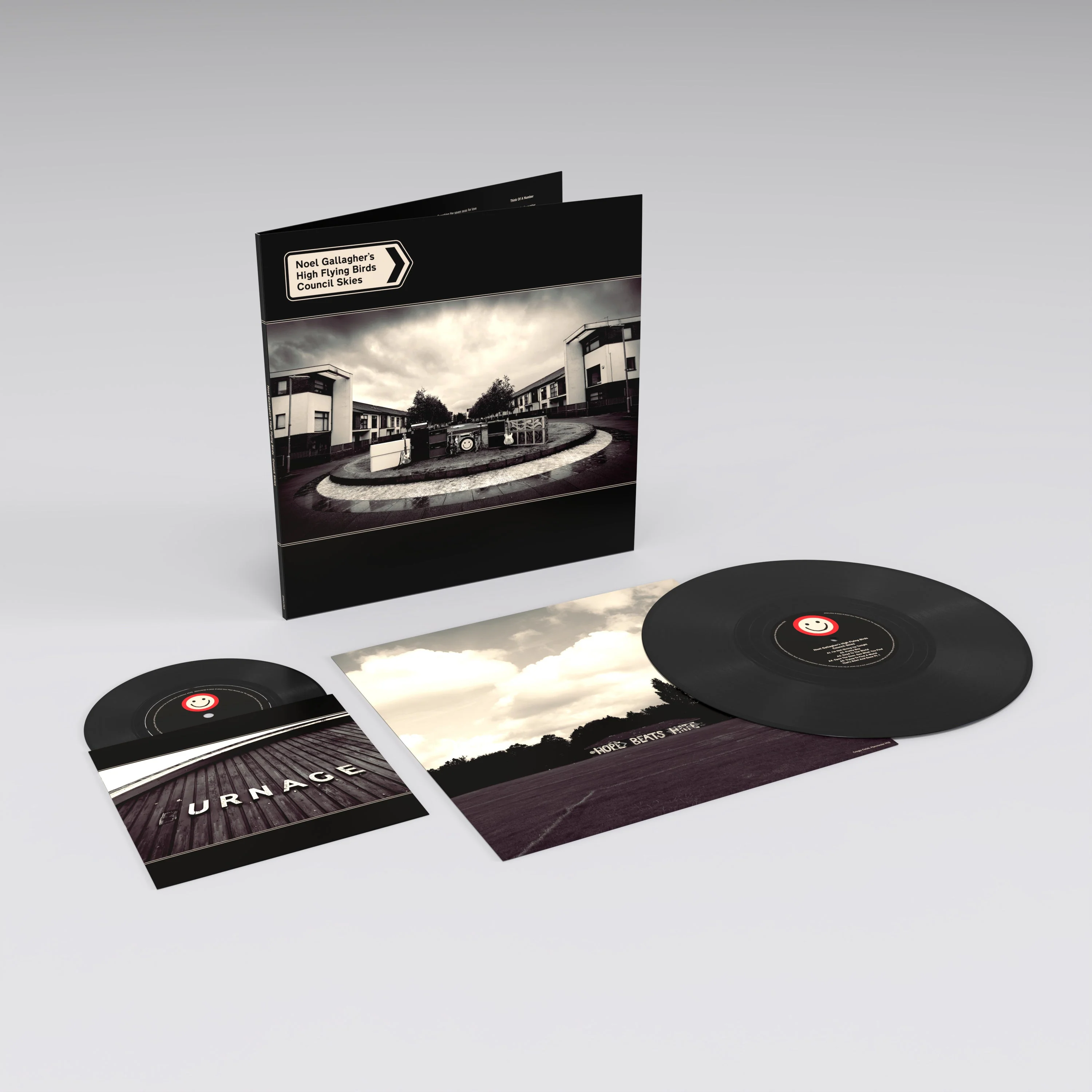 Noel Gallagher's High Flying Birds - Council Skies - Image 3
