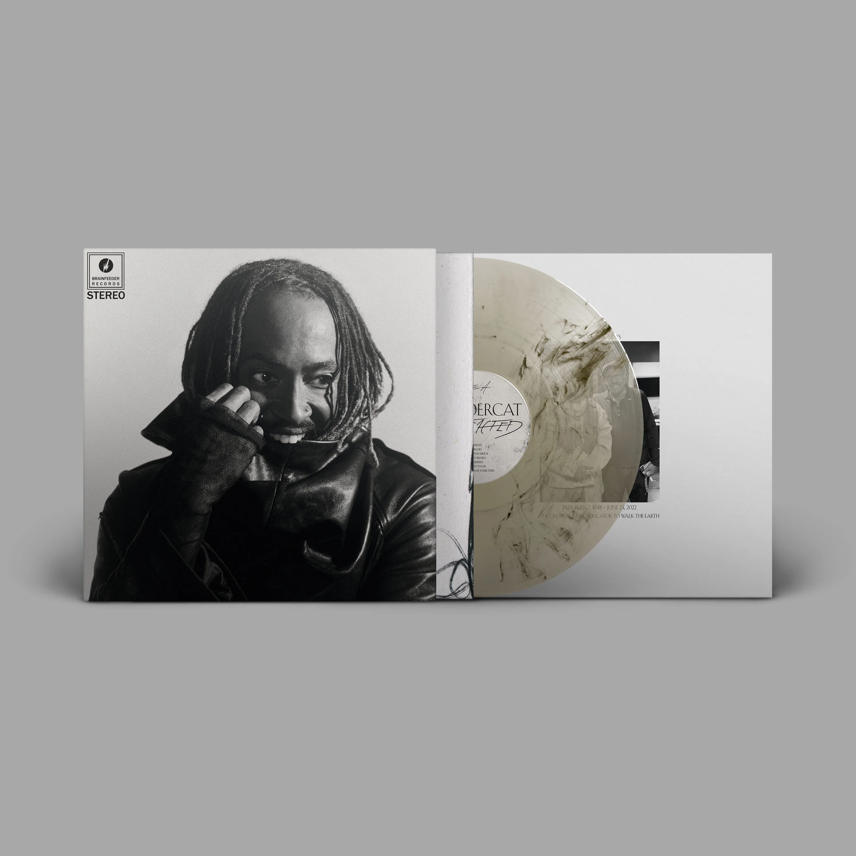 Thundercat - Distracted - Image 2
