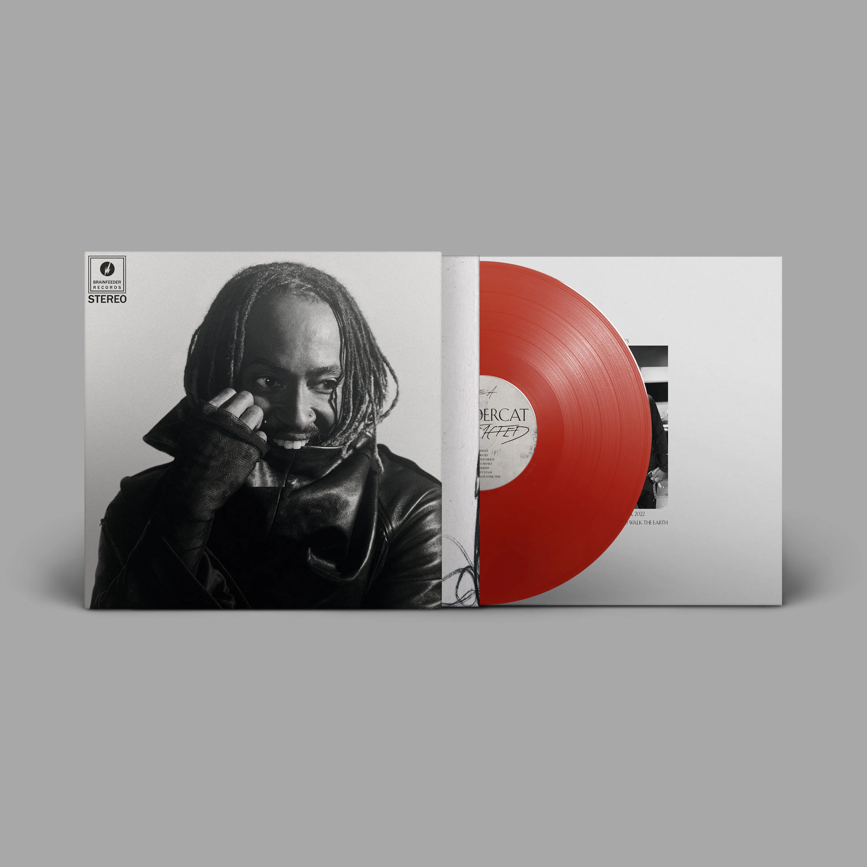Thundercat - Distracted - Image 3