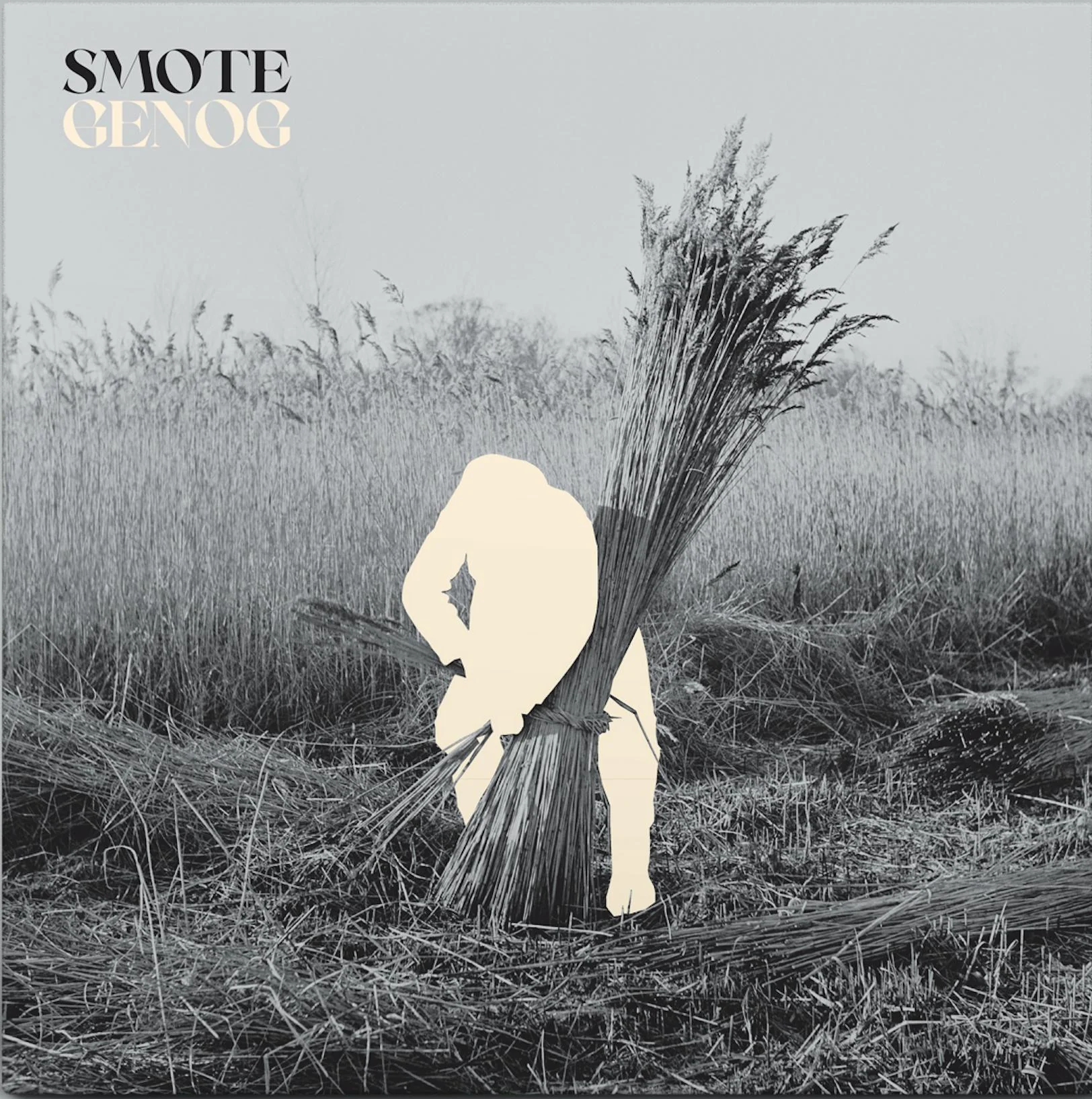 Smote - Genog