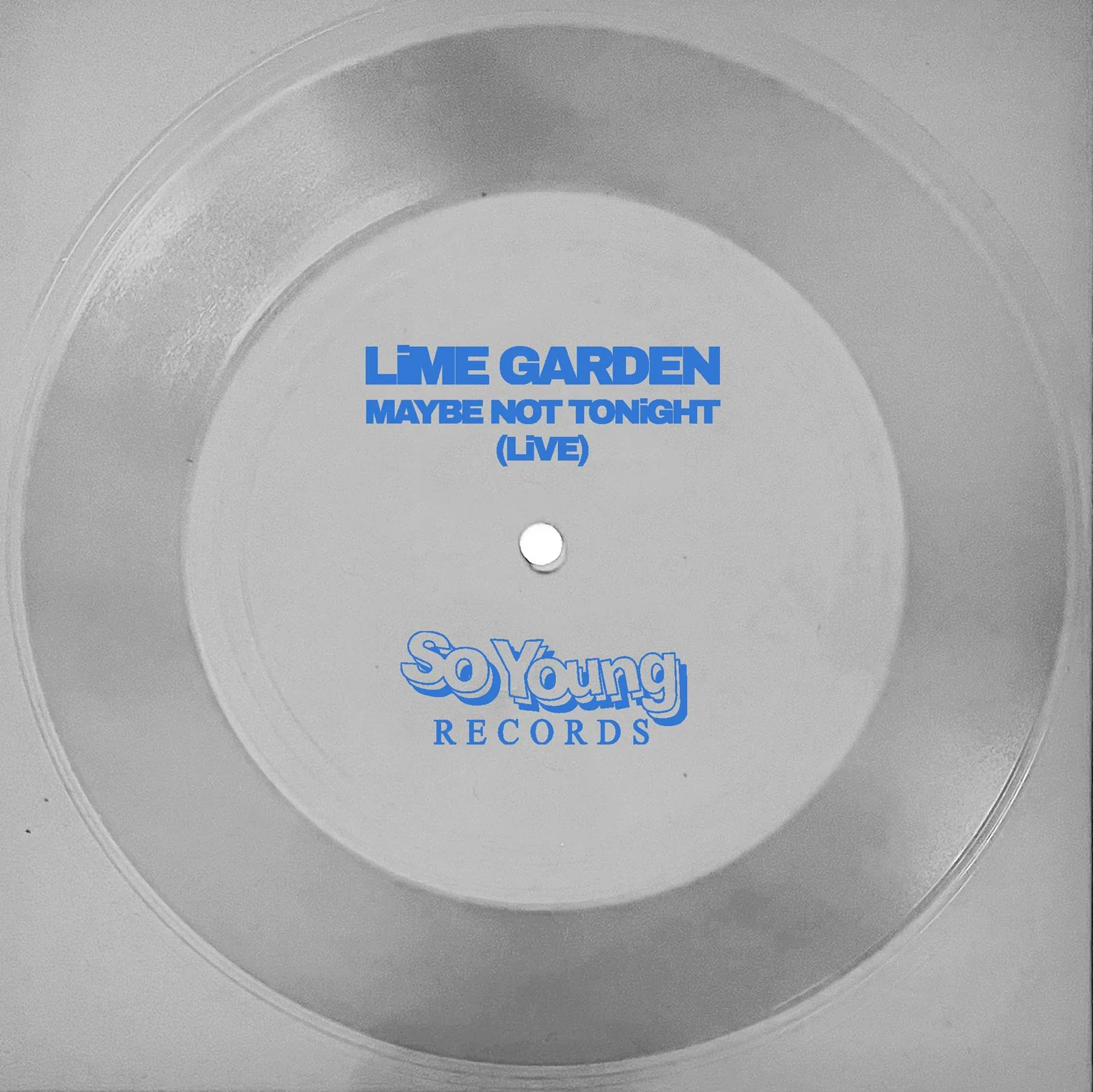Lime Garden - Maybe Not Tonight - Image 4