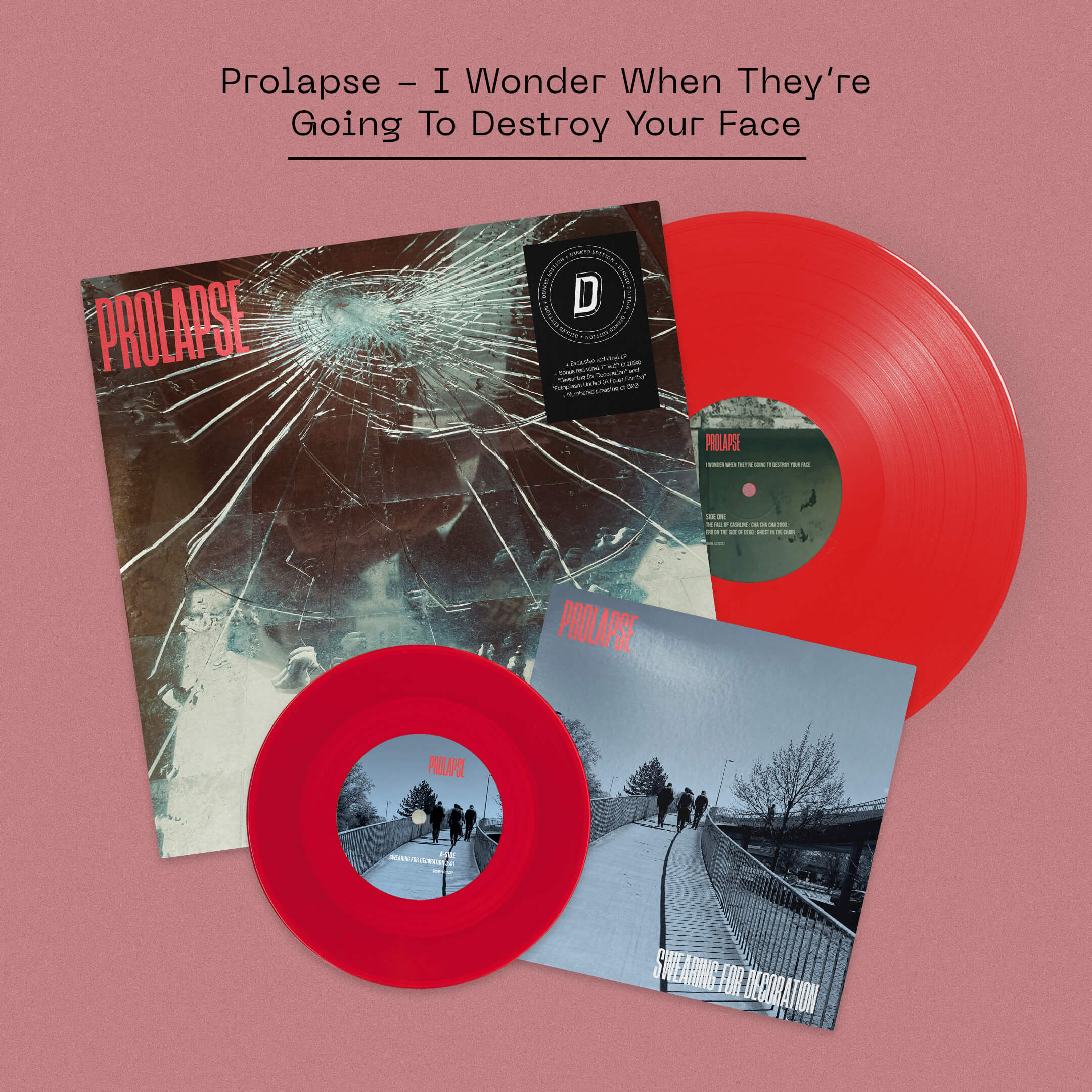 Prolapse - I Wonder When They’re Going To Destroy Your Face - Image 3
