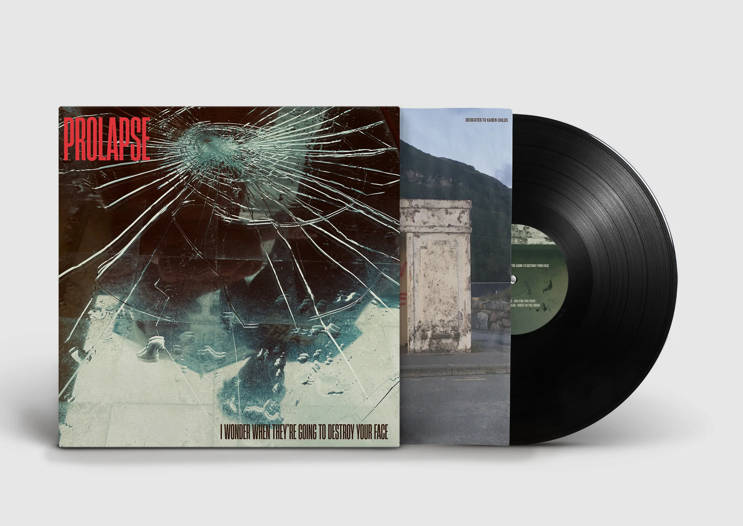 Prolapse - I Wonder When They’re Going To Destroy Your Face - Image 7