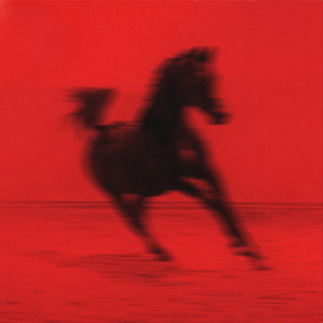Red Rum Club – BUCK