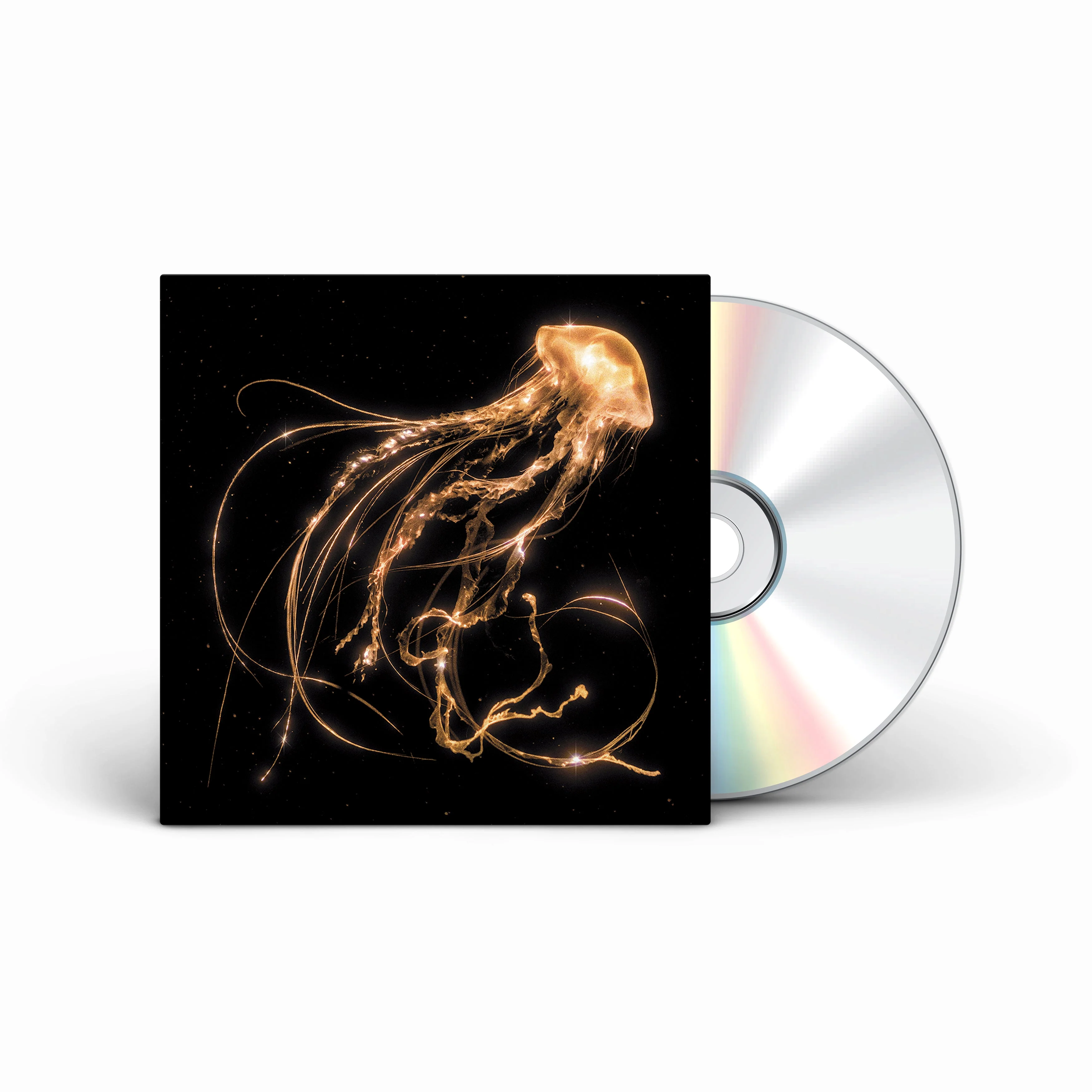 Royal Blood - Back To The Water Below - Image 4