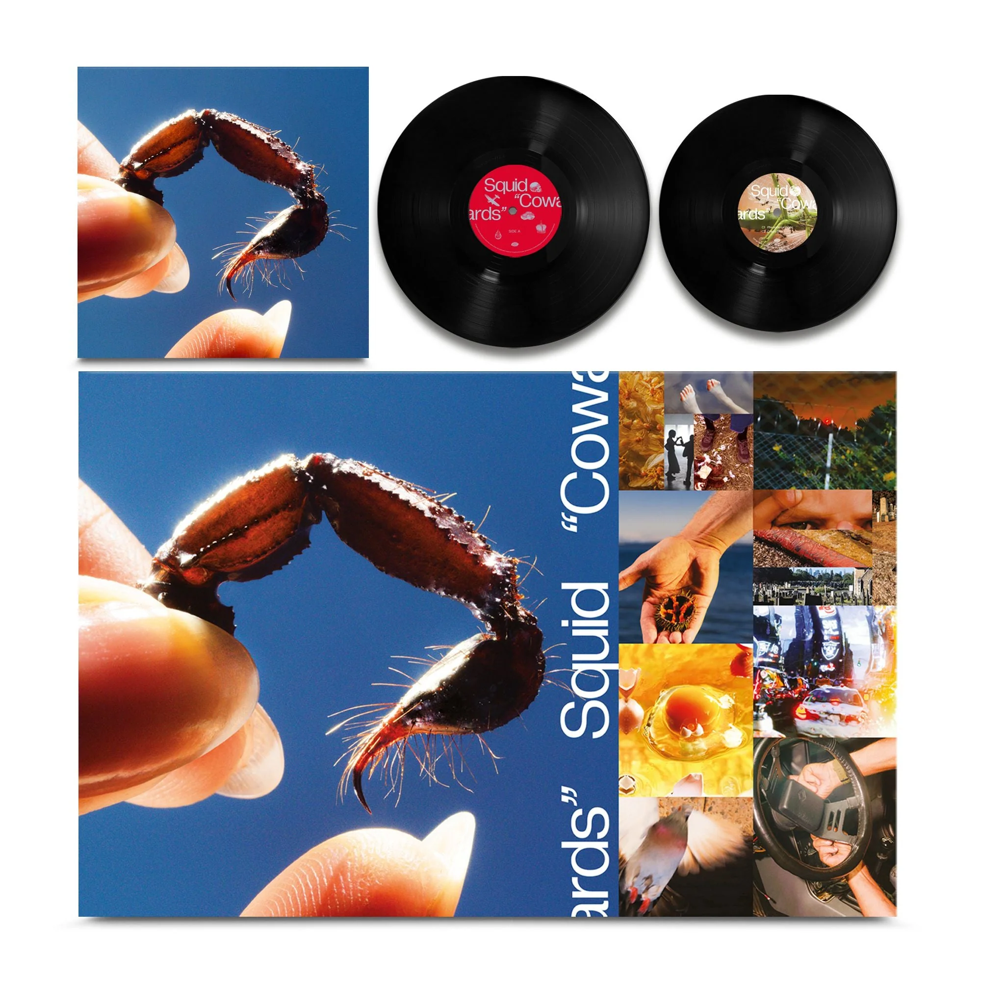 Squid - Cowards - Image 3