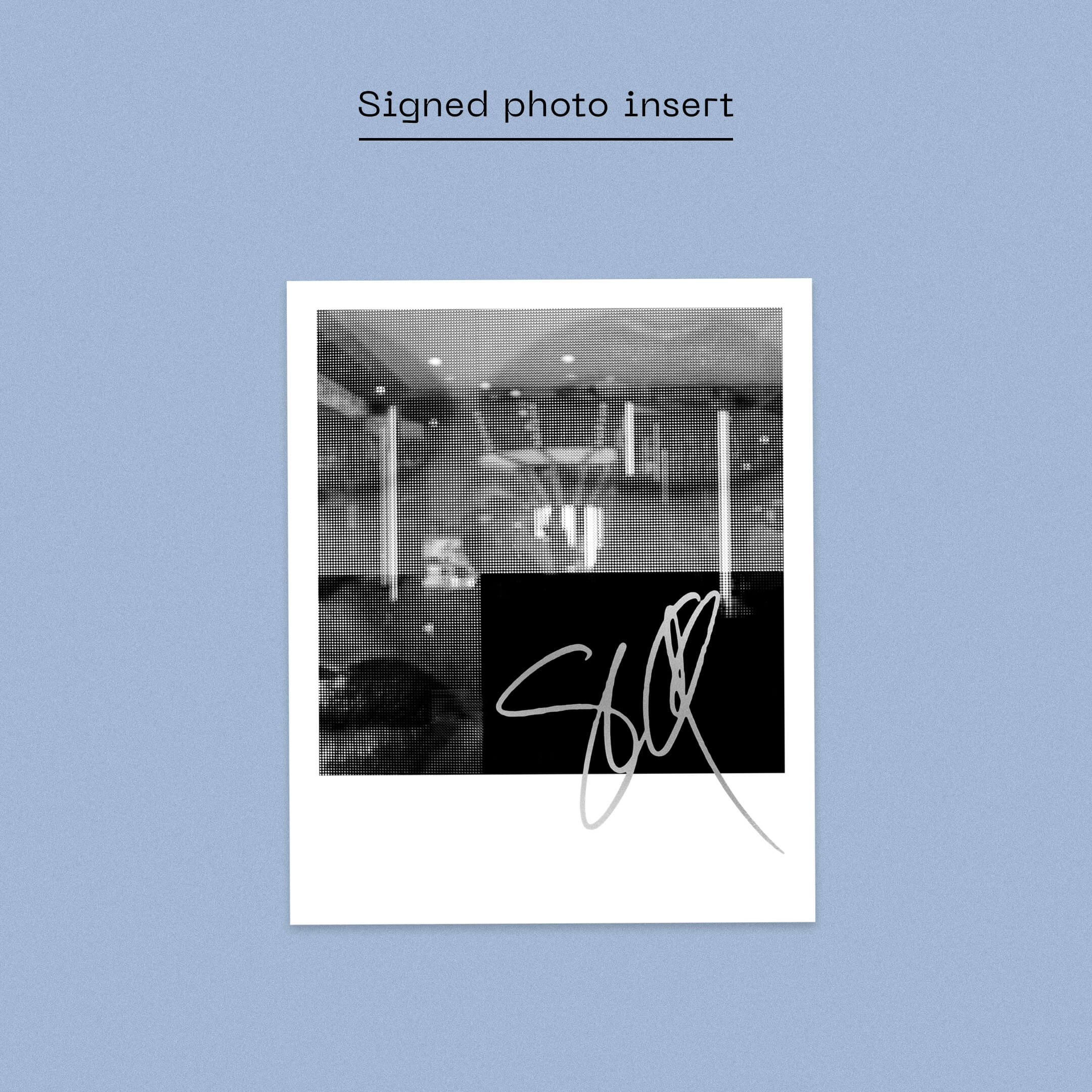 Steve Queralt - Swallow - Image 3