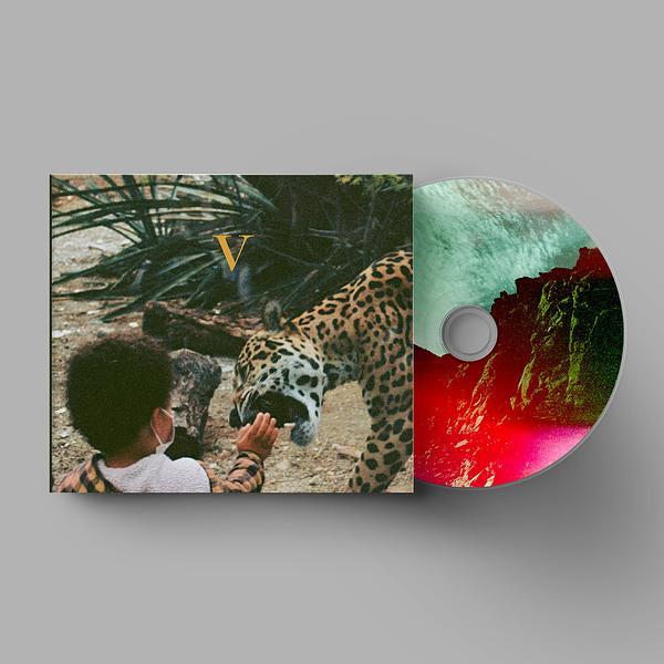 Unknown Mortal Orchestra - V - Image 3