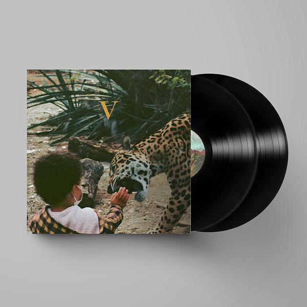 Unknown Mortal Orchestra - V - Image 4