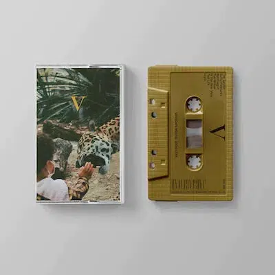 Unknown Mortal Orchestra - V - Image 5